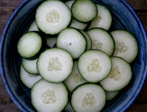 july2016cucumbers1