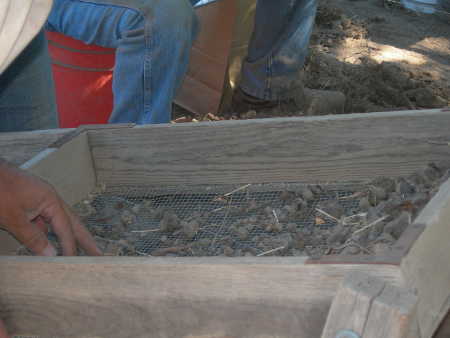 An archaeological screen. Photo courtesy of Kathleen Scavone. scavonearchscreen