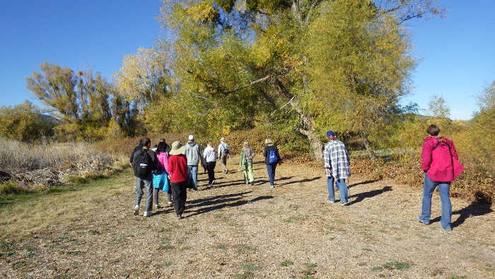 Final guided nature walk of the year to be held Nov. 11 at Anderson Marsh State Historic Park 