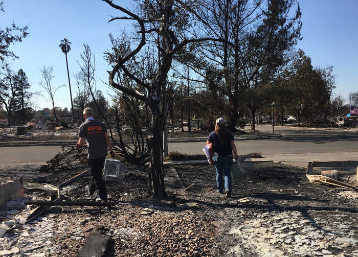 ASPCA helping to transport homeless animals out of fire-impacted communities 
