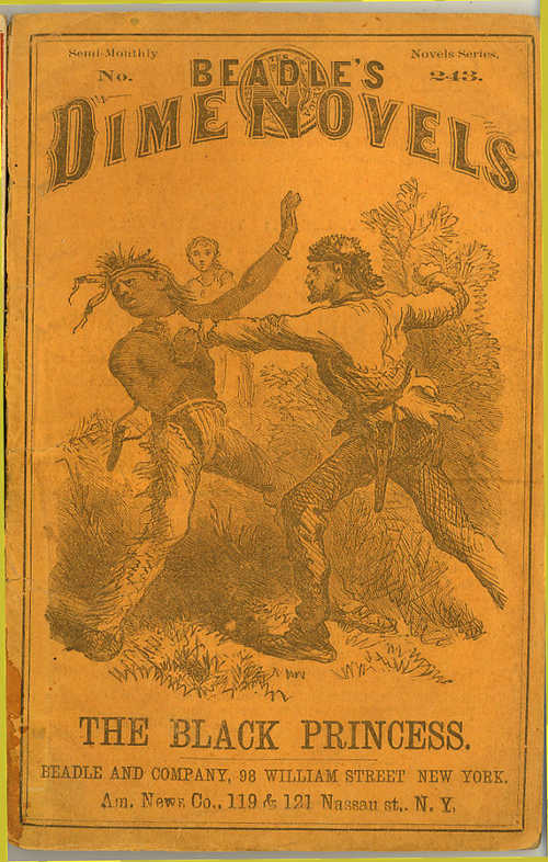 Beadle’s Dime Novels. Public domain image. beadlesdimenovel