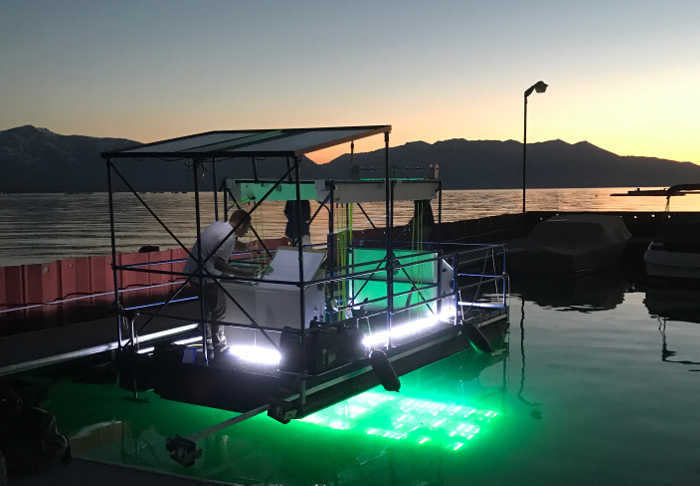 REGIONAL: Tahoe goes high tech to fight aquatic invasive weeds; UV light pilot project now under way