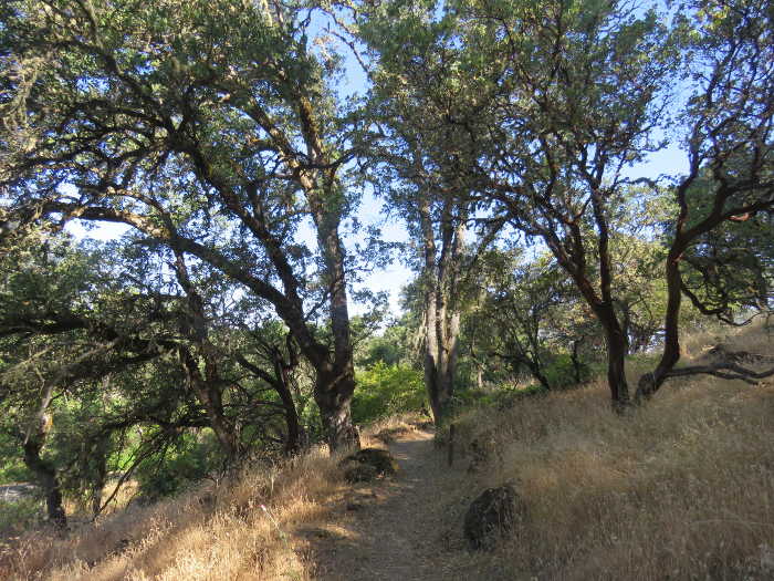 The Living Landscape: Indian Nature Trail at Clear Lake State Park