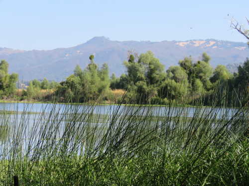 The Living Landscape: Rodman Slough County Park