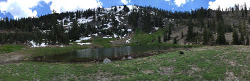 Mendocino National Forest offers holiday safety tips for visitors