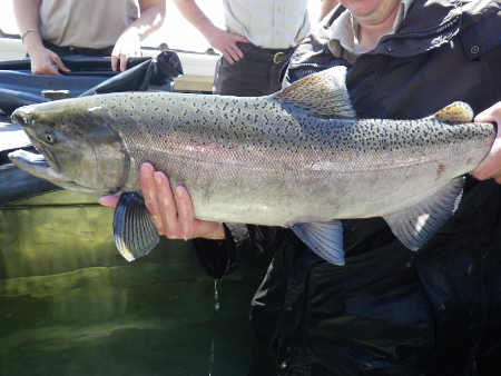 winterrunchinook